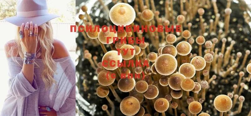 omg ССЫЛКА  Полысаево  Псилоцибиновые грибы MAGIC MUSHROOMS  цены  